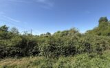 Terrain à vendre à Le mans — Vue dégagée — photo 6