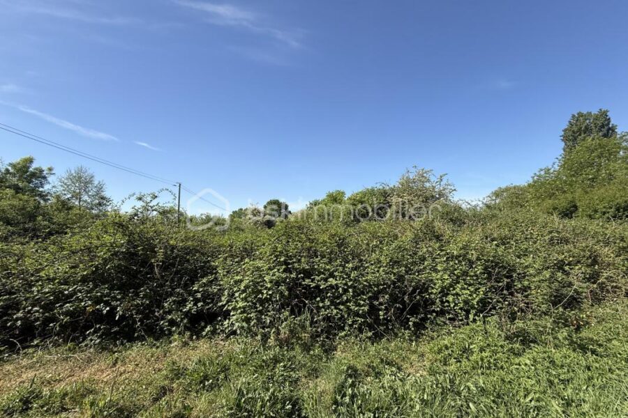 Terrain à vendre à Le mans — Vue dégagée — photo 6