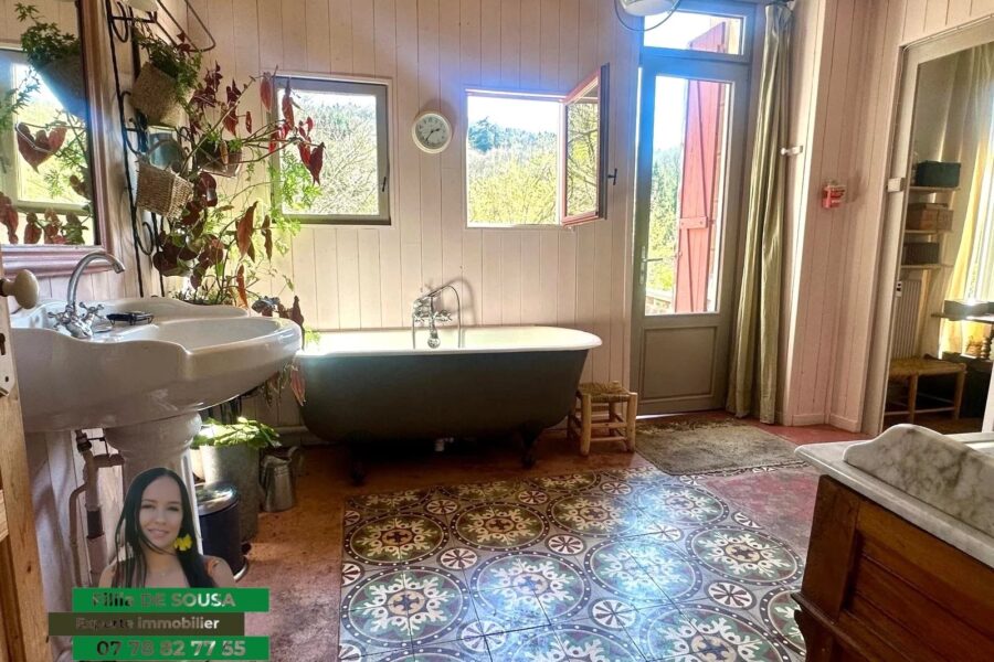 Maison à vendre à Le chambon-feugerolles — Vue nature — photo 1