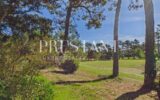 Maison à vendre à Anglet — Vue parc & jardin — photo 5