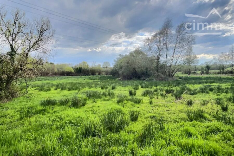 Terrain à vendre à Nozay — Vue lac — photo 3