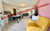 Appartement à vendre à Saint esteve — Vue parc & jardin — photo 4