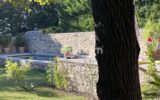 Maison à vendre à Saint-paul-trois-châteaux — Vue dégagée — photo 15