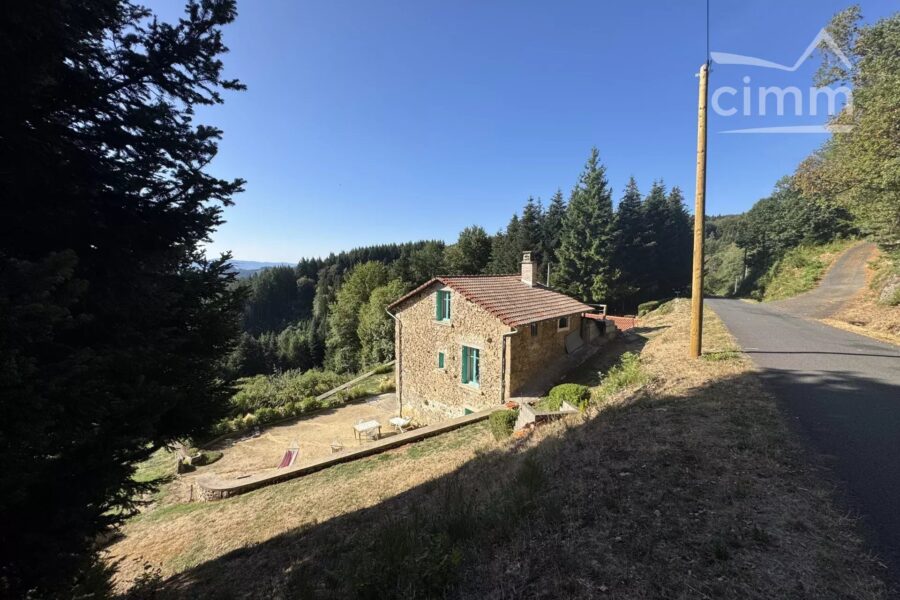 Maison à vendre à Thiolières — Vue montagne — photo 38