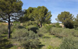 Maison à vendre à Eygalières — Vue montagne — photo 14