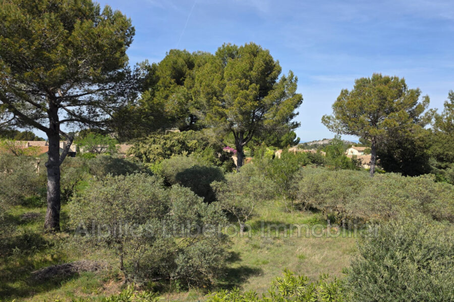 Maison à vendre à Eygalières — Vue montagne — photo 14