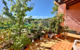 Maison à vendre à Saint-maximin-la-sainte-baume — Vue nature — photo 5