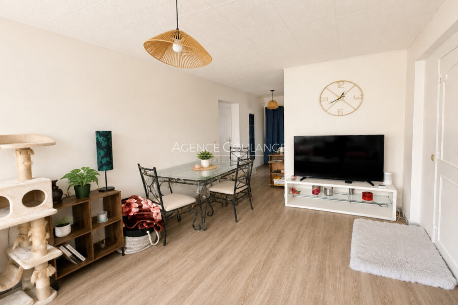 Appartement à vendre à Sainte-foy-lès-lyon — Vue dégagée — photo 3
