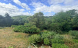 Maison à vendre à Lenax — Vue nature — photo 11