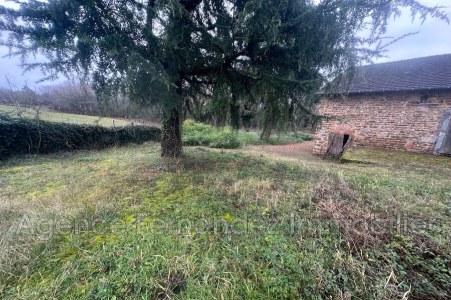 Maison à vendre à Semur-en-brionnais — Vue nature — photo 9