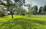 Maison à vendre à Baugy — Vue nature — photo 5
