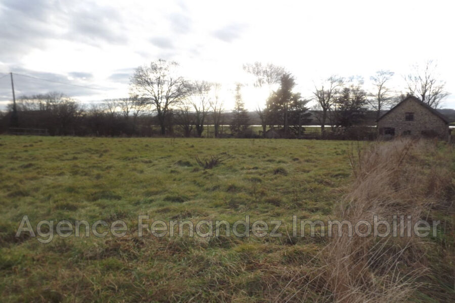 Terrain à vendre à Baugy — Vue nature — photo 1