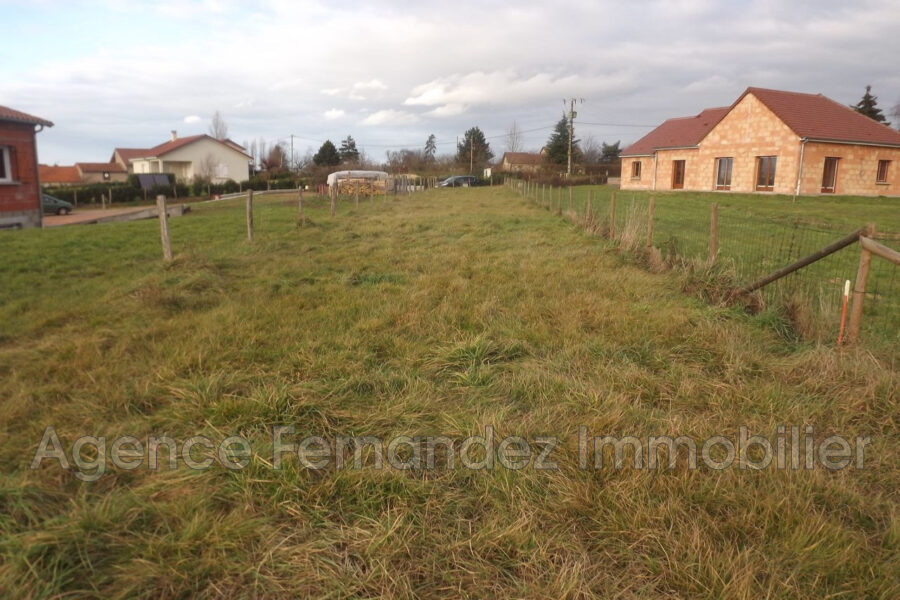 Terrain à vendre à Baugy — Vue nature — photo 4