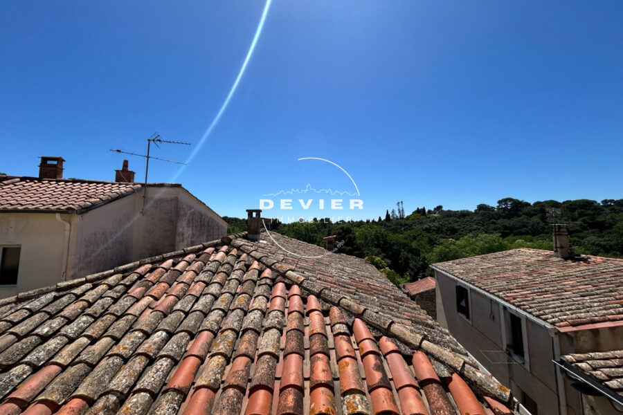 Maison à vendre à Castelnau-le-lez — Vue nature — photo 1