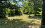 Terrain à vendre à Bourg-le-comte — Vue nature — photo 5