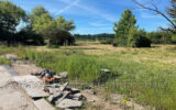 Terrain à vendre à Bourg-le-comte — Vue nature — photo 11