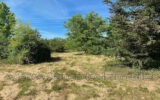 Terrain à vendre à Bourg-le-comte — Vue nature — photo 12