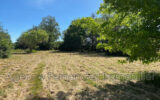 Terrain à vendre à Bourg-le-comte — Vue nature — photo 15