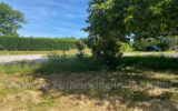 Terrain à vendre à Bourg-le-comte — Vue nature — photo 19