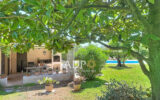 Maison à vendre à Grasse — Vue nature — photo 4