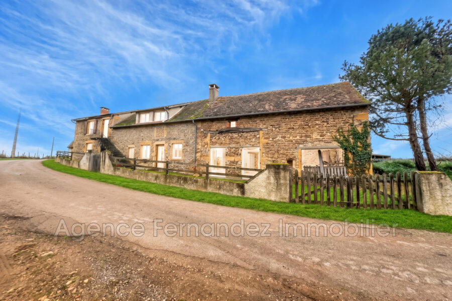 Maison à vendre à Semur-en-brionnais — Vue nature — photo 5