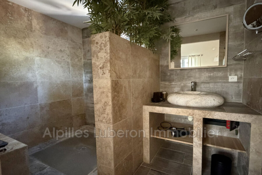 Maison à louer à Fontvieille — Vue parc & jardin — photo 16