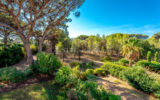 Appartement à vendre à Sainte-maxime — Vue nature — photo 1