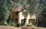 Maison à vendre à Breil-sur-roya — Vue dégagée — photo 2