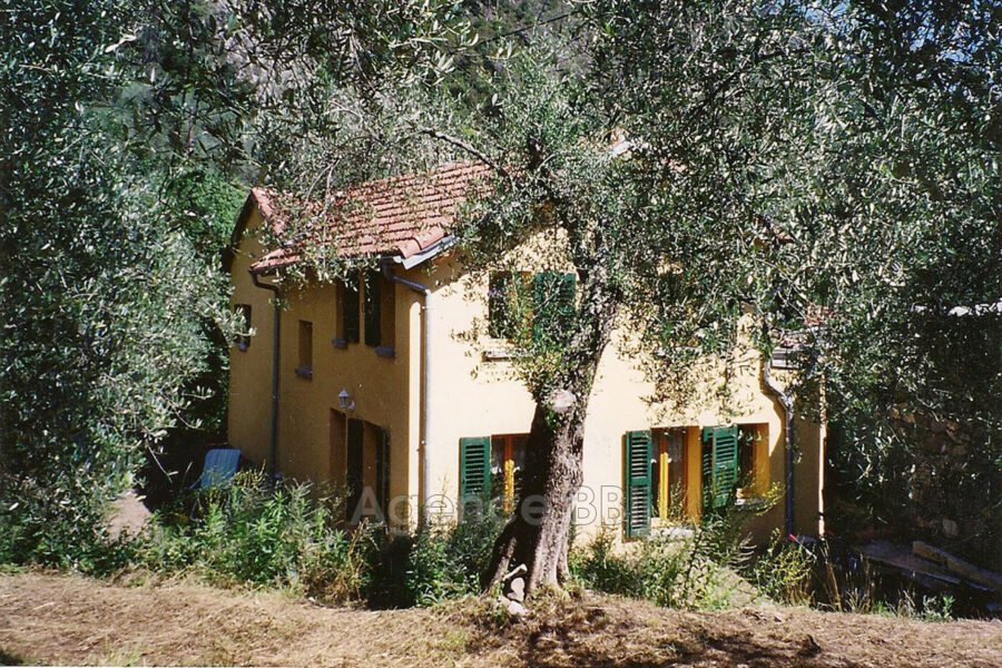 Maison à vendre à Breil-sur-roya — Vue dégagée — photo 2