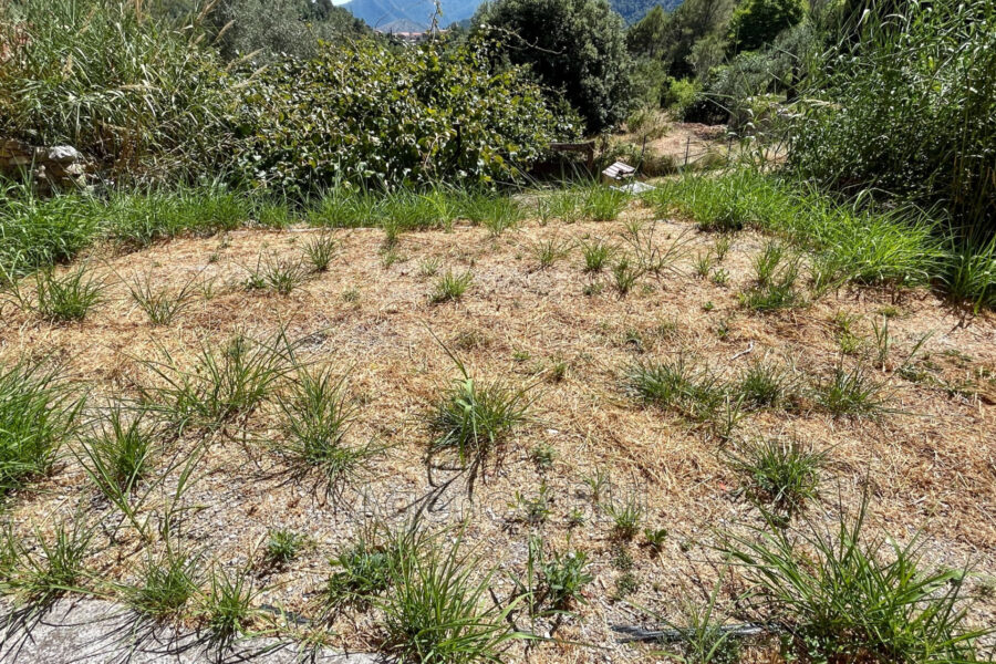 Maison à vendre à Breil-sur-roya — Vue dégagée — photo 12