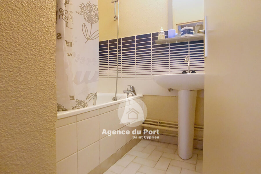 Maison à vendre à Saint-cyprien-plage — Vue dégagée — photo 4