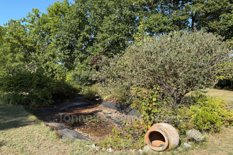 Maison à vendre à Birac-sur-Trec — Vue nature — photo 20