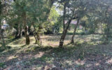 Terrain à vendre à Saint-maximin-la-sainte-baume — photo 4