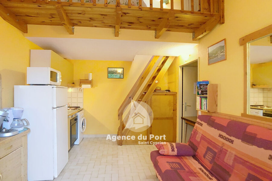 Maison à vendre à Saint-cyprien-plage — Vue dégagée — photo 6