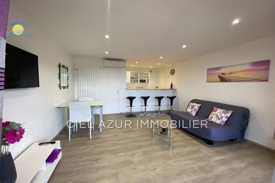 Appartement à louer à Golfe-juan — Vue mer — photo 3