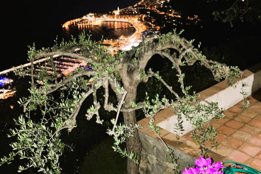 Maison à vendre à Menton — Vue mer — photo 34