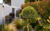 Maison à vendre à Maussane-les-alpilles — Vue parc & jardin — photo 1