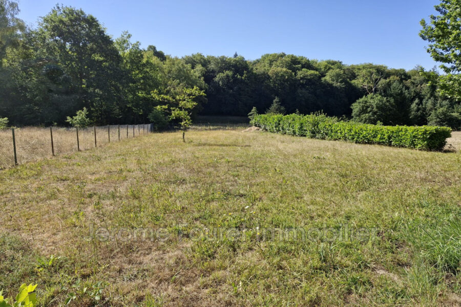 Maison à vendre à Marcillac-la-croisille — Vue nature — photo 20