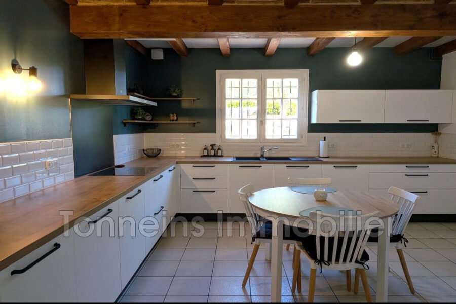 Maison à vendre à Tonneins — Vue nature — photo 11