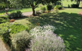 Maison à vendre à Tonneins — Vue nature — photo 4