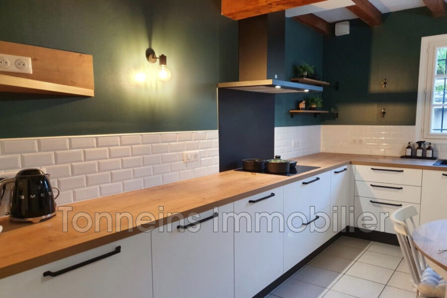 Maison à vendre à Tonneins — Vue nature — photo 15
