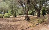 Maison à vendre à Grimaud — Vue mer — photo 5