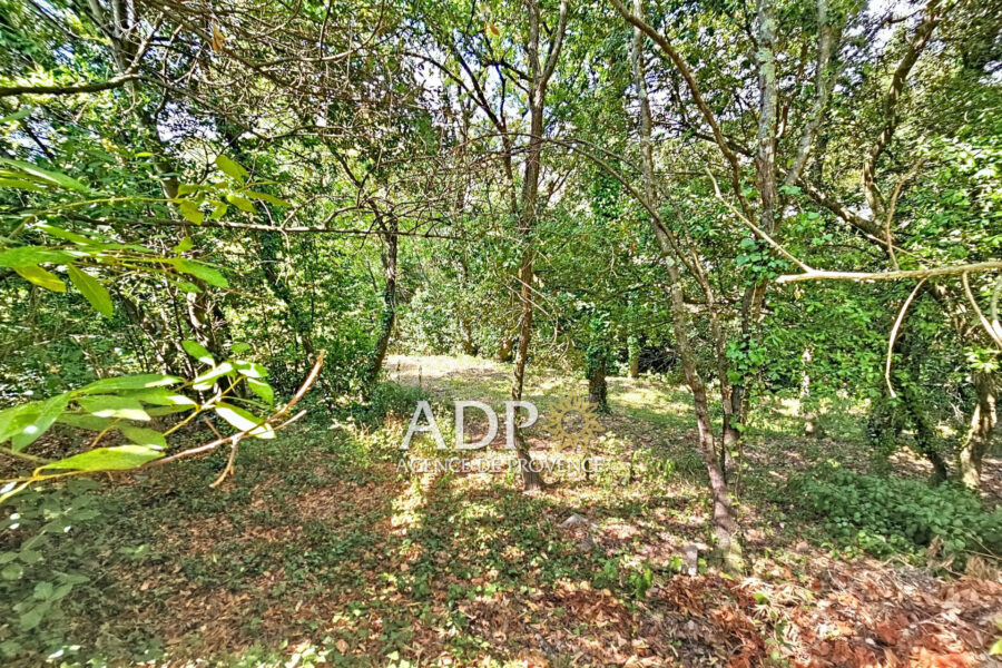 Maison à vendre à Grasse — Vue nature — photo 16