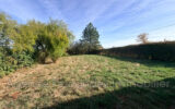 Maison à vendre à Anzy-le-duc — Vue nature — photo 15