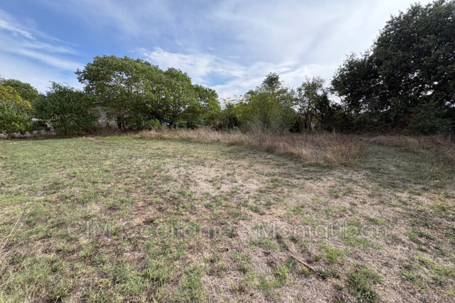 Terrain à vendre à Saint-nauphary — Vue dégagée — photo 1