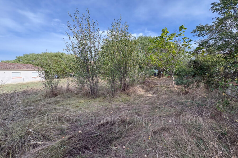 Terrain à vendre à Saint-nauphary — Vue dégagée — photo 4