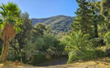 Maison à vendre à Laroque-des-albères — Vue mer — photo 4