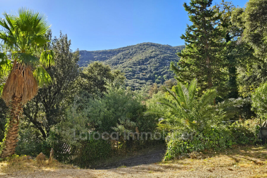 Maison à vendre à Laroque-des-albères — Vue mer — photo 4