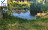 Maison à vendre à Masseube — Vue nature — photo 5