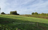 Maison à vendre à Gournay-en-bray — Vue nature — photo 1